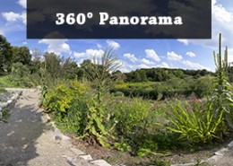 Panorama Westpark III