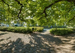 Panorama: Gronauer Waldweg